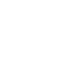 Scattery Island Tours
